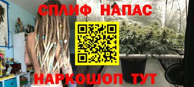 mdpv Кимры