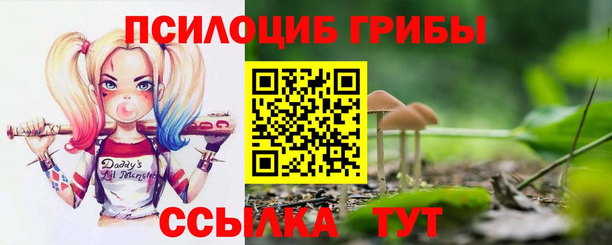 Псилоцибиновые грибы ЛСД Кохма